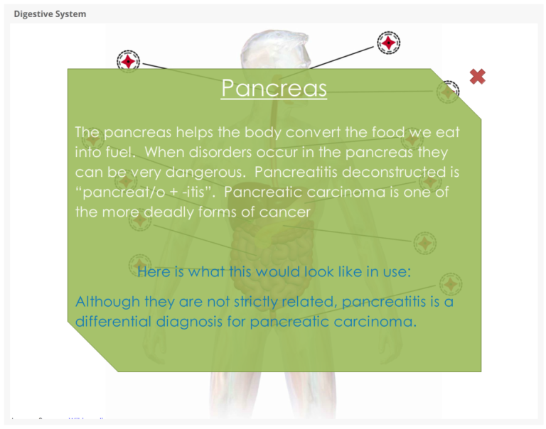 Digestive System- Example Screen