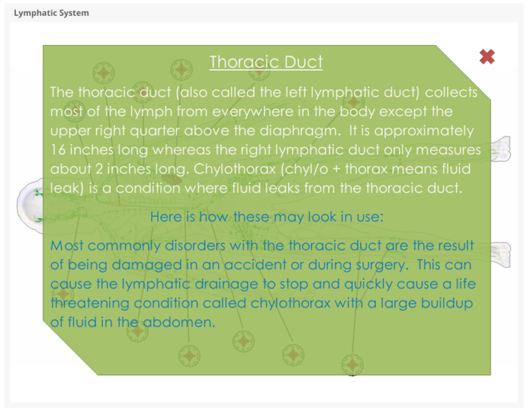 Lymphatic System